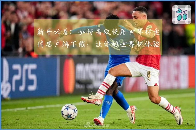 新手必看：如何高效使用世界杯竞猜客户端下载，让你的世界杯体验更精彩