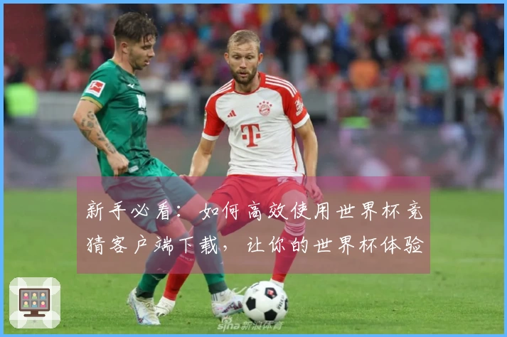 新手必看：如何高效使用世界杯竞猜客户端下载，让你的世界杯体验更精彩