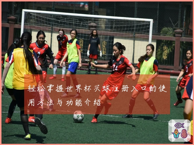 轻松掌握世界杯买球注册入口的使用方法与功能介绍