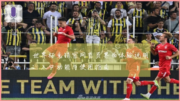 世界杯竞猜官网首页界面体验说明：入口功能与使用指南